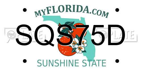 SQS75D Florida License Plate