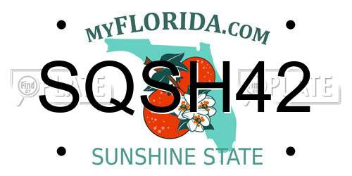 SQSH42 Florida License Plate