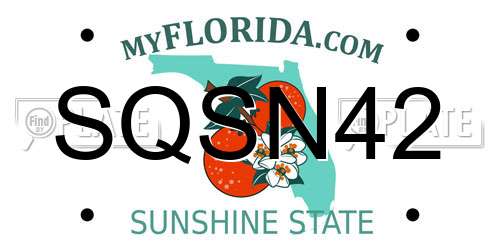 SQSN42 Florida License Plate