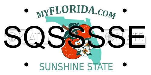 SQSSSSE Florida License Plate