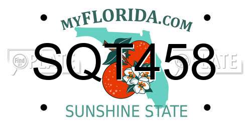 SQT458 Florida License Plate
