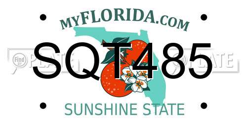 SQT485 Florida License Plate