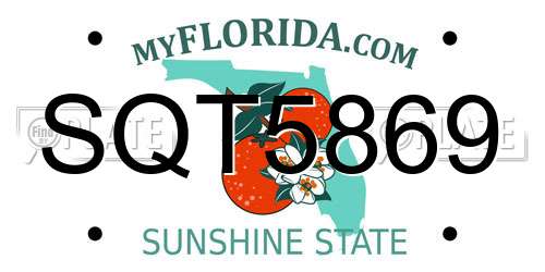 SQT5869 Florida License Plate