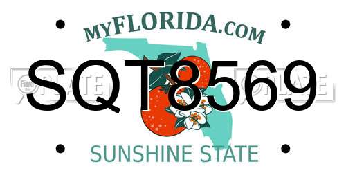 SQT8569 Florida License Plate