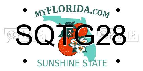 SQTG28 Florida License Plate