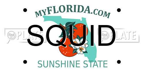 SQUID Florida License Plate