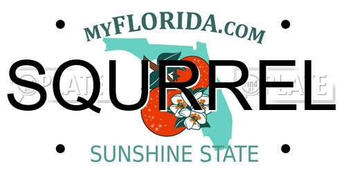 SQURREL Florida License Plate