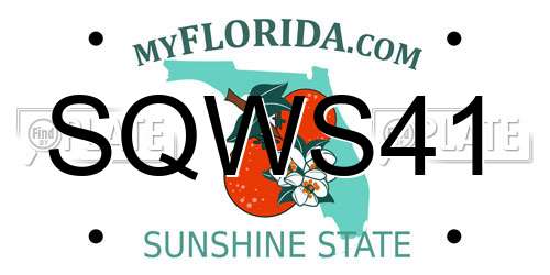 SQWS41 Florida License Plate