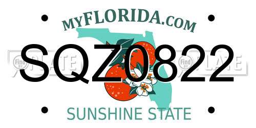 SQZ0822 Florida License Plate