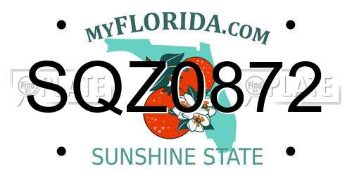 SQZ0872 Florida License Plate