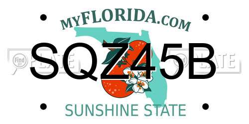 SQZ45B Florida License Plate