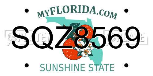 SQZ8569 Florida License Plate