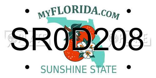 SR0D208 Florida License Plate