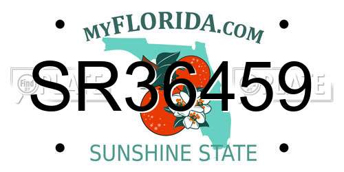 SR36459 Florida License Plate