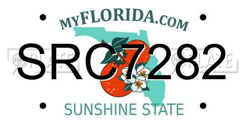 SRC7282 Florida License Plate