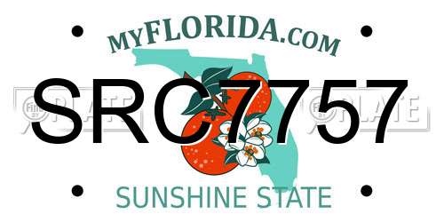 SRC7757 Florida License Plate