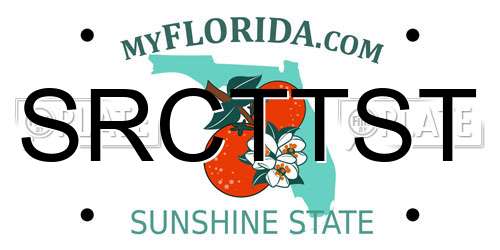 SRCTTST Florida License Plate