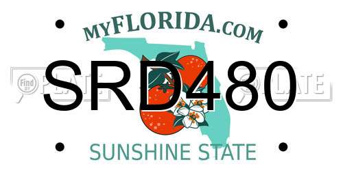 SRD480 Florida License Plate