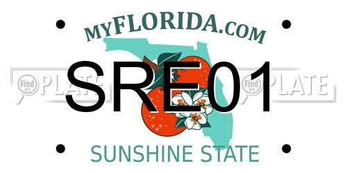 SRE01 Florida License Plate