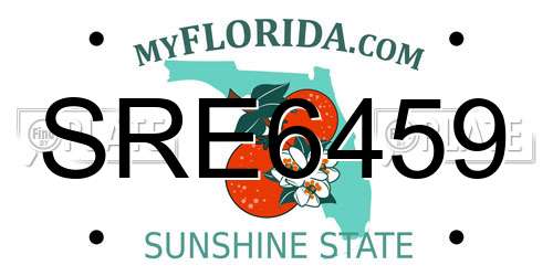 SRE6459 Florida License Plate