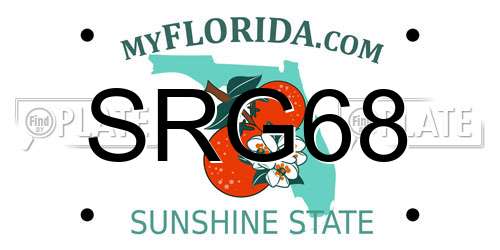 SRG68 Florida License Plate