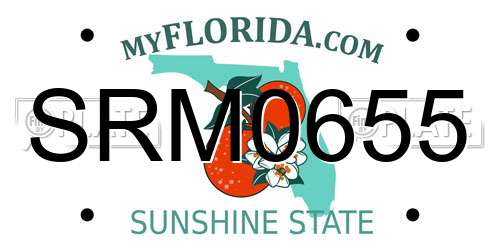SRM0655 Florida License Plate
