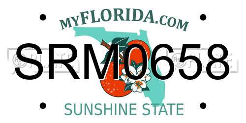 SRM0658 Florida License Plate
