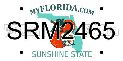 SRM2465 Florida License Plate