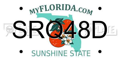 SRQ48D Florida License Plate