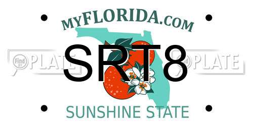SRT8 Florida License Plate
