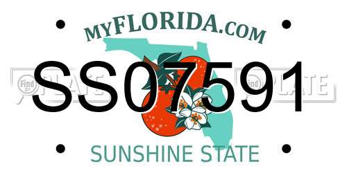 SS07591 Florida License Plate