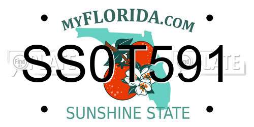 SS0T591 Florida License Plate