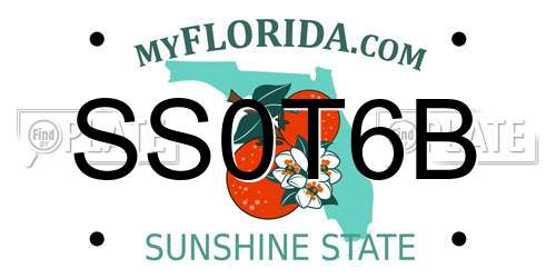 SS0T6B Florida License Plate