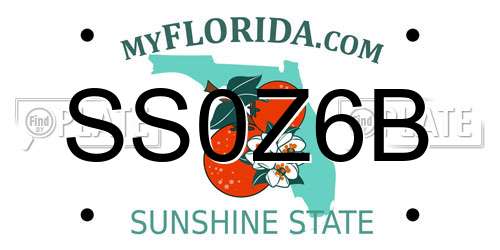 SS0Z6B Florida License Plate