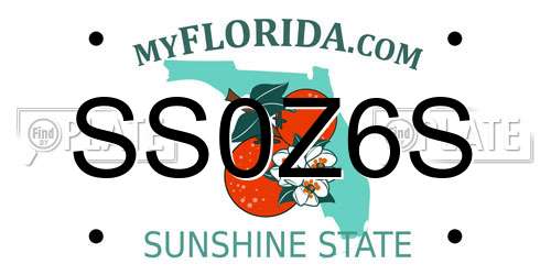 SS0Z6S Florida License Plate