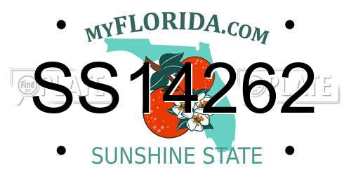 SS14262 Florida License Plate