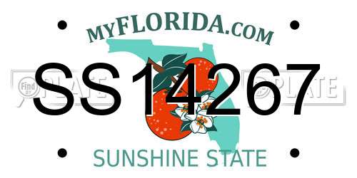 SS14267 Florida License Plate