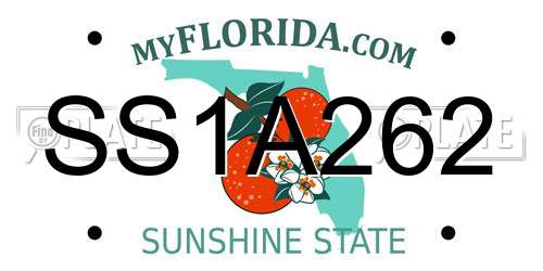 SS1A262 Florida License Plate