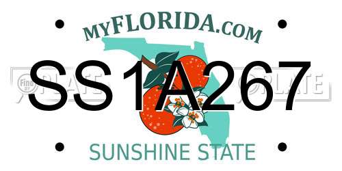 SS1A267 Florida License Plate