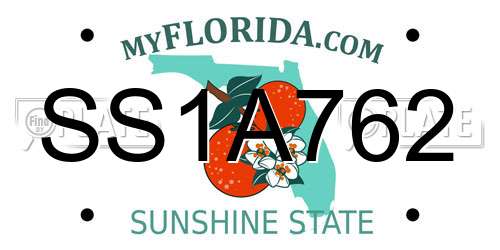 SS1A762 Florida License Plate