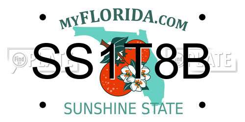 SS1T8B Florida License Plate