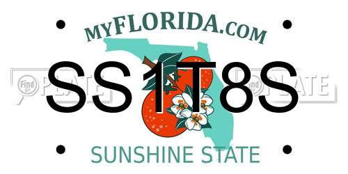 SS1T8S Florida License Plate