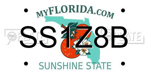 SS1Z8B Florida License Plate