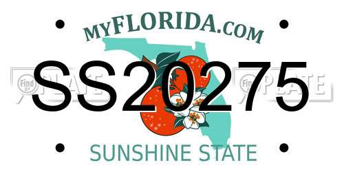 SS20275 Florida License Plate