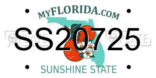 SS20725 Florida License Plate