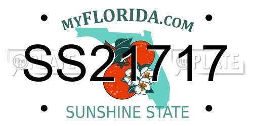 SS21717 Florida License Plate