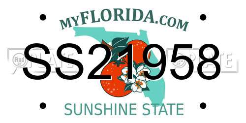 SS21958 Florida License Plate