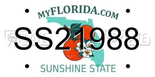 SS21988 Florida License Plate