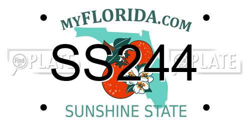 SS244 Florida License Plate