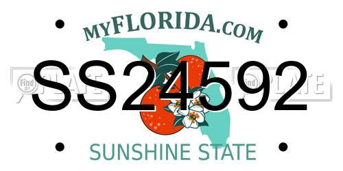 SS24592 Florida License Plate